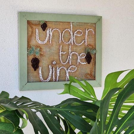 דירות Platánion Under The Vine Garden House מראה חיצוני תמונה