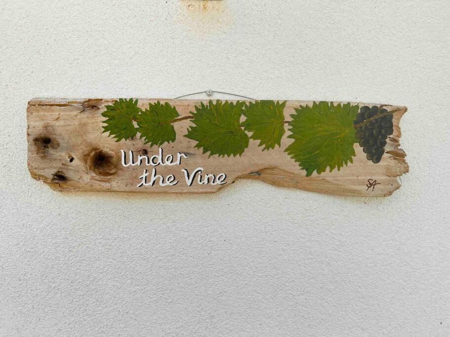 דירות Platánion Under The Vine Garden House מראה חיצוני תמונה